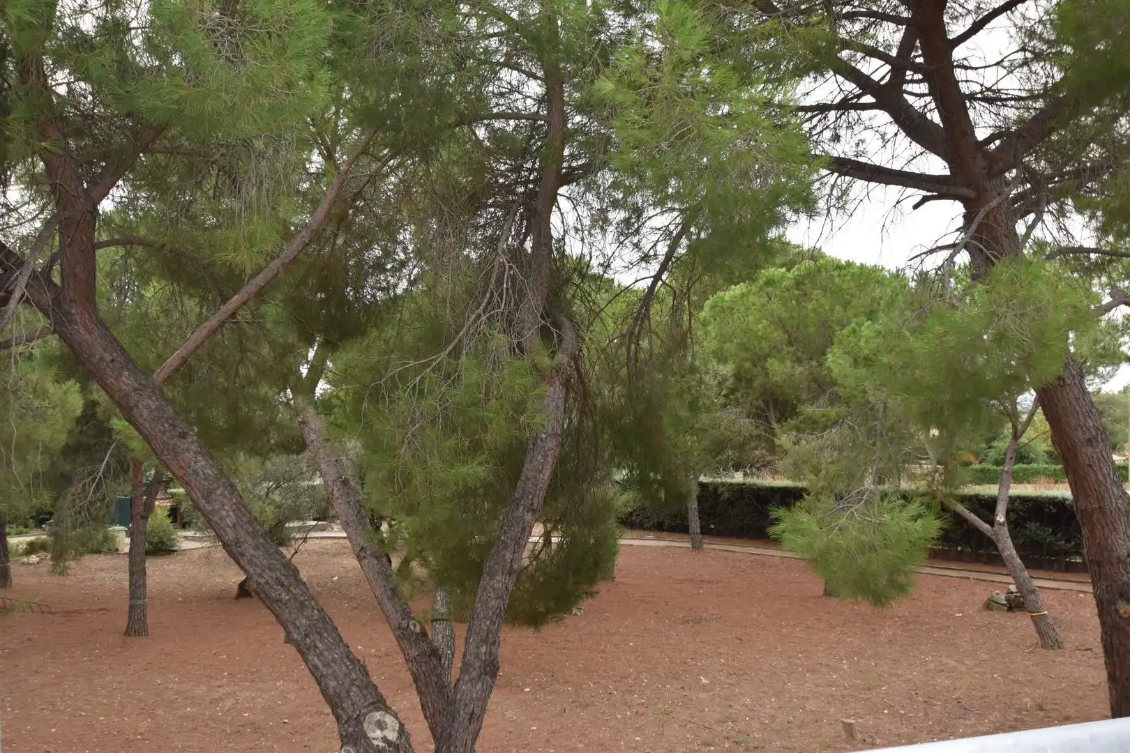 Casa o chalet en venta en Fuente El Saz de Jarama