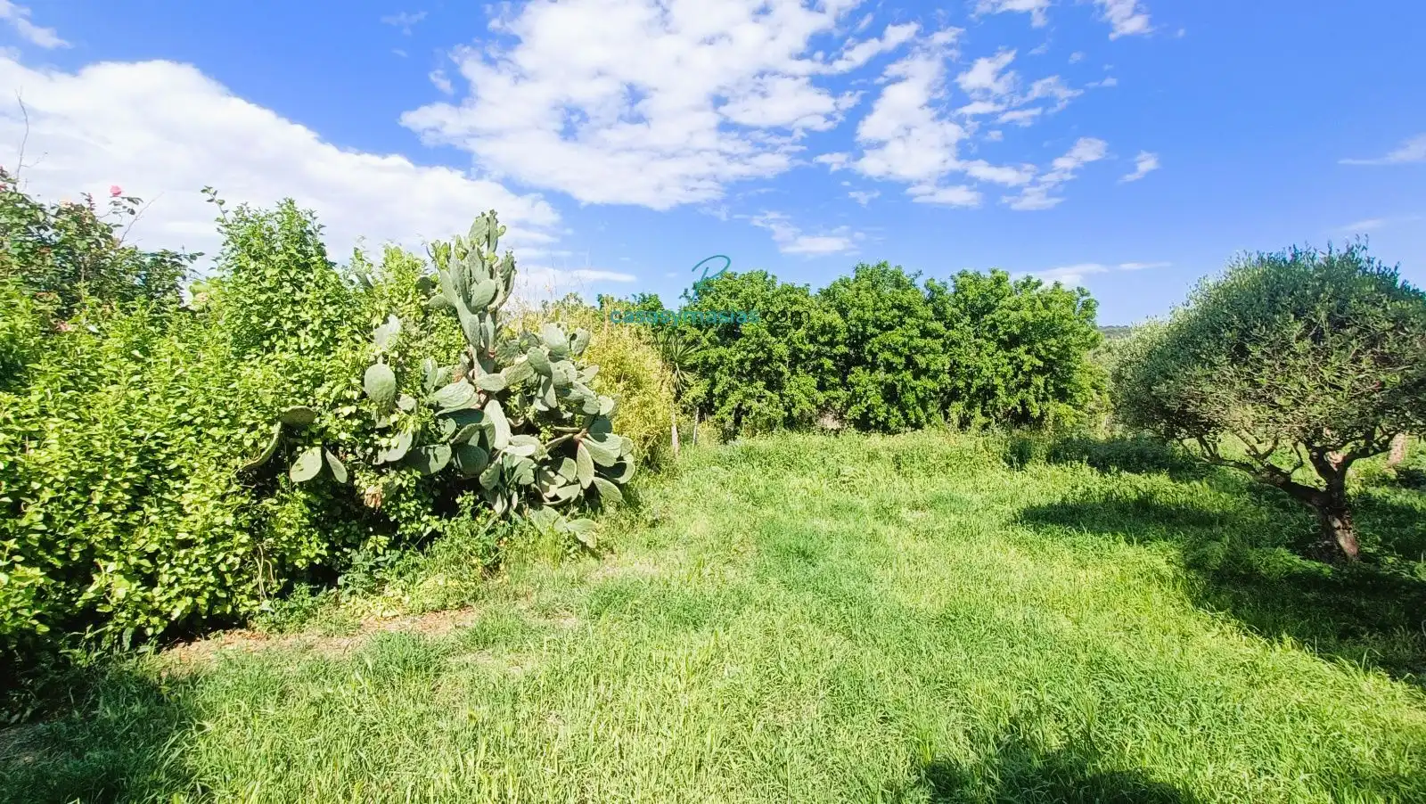 Finca rústica en venda en Castellet i la Gornal amb Calefacció, Jardí privat i Alarma