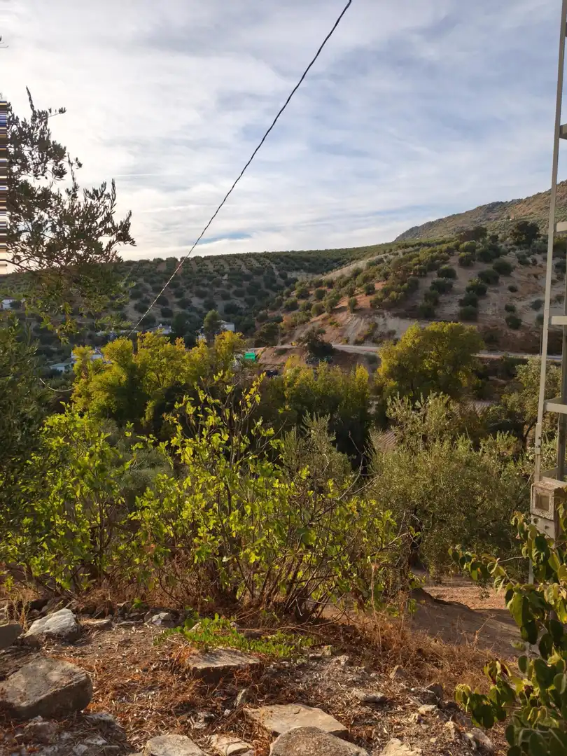 Finca rústica en venta en Iznájar