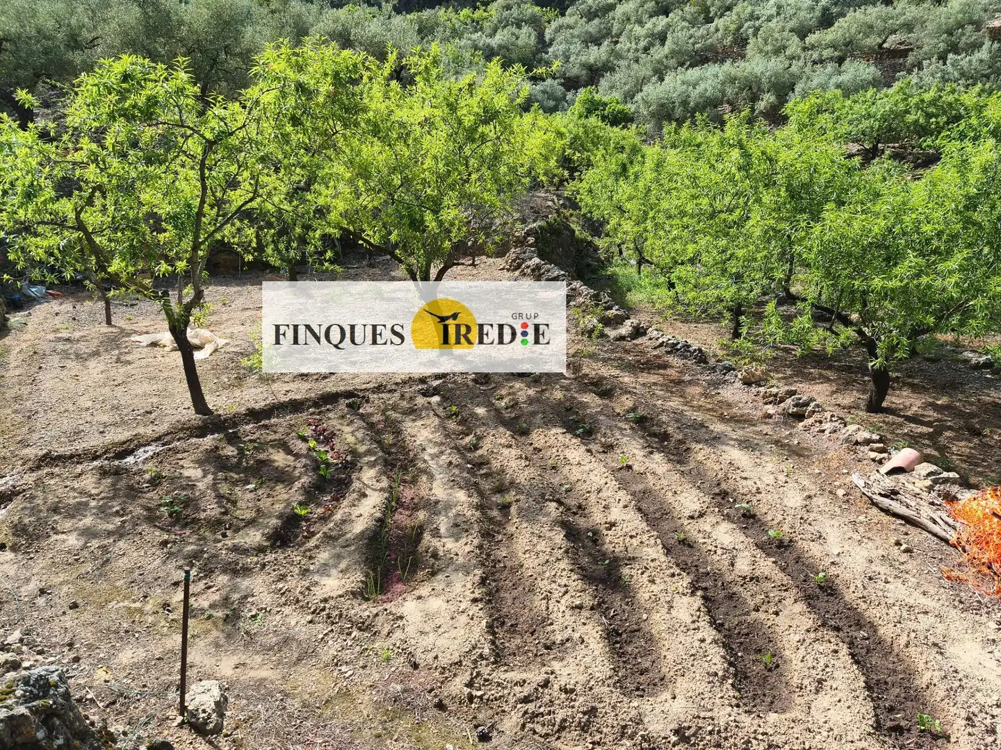 Casa en venta en Alfara de Carles, imagen 15