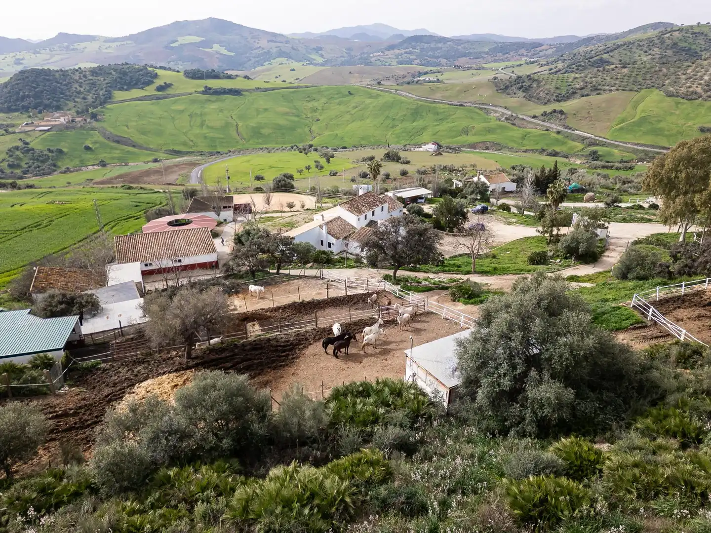 Vista exterior de Finca rústica en venta en Villanueva de la Concepción con Terraza, Piscina y Amueblado