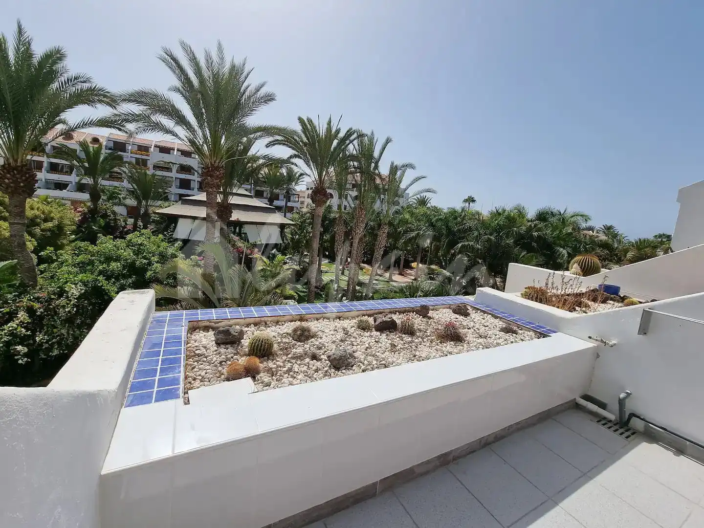 Studio à vendre à Playa de las Américas, imagen 18