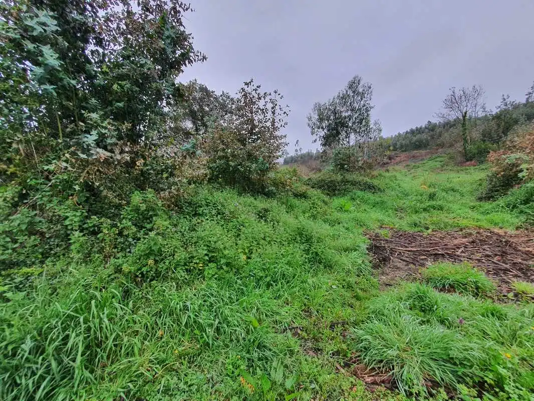 Terreno en venta en Ribadesella