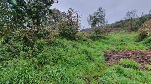 Photo 5 of Land for sale in Ribadesella, Asturias