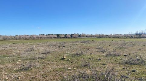 SE VENDE SOLAR RUSTICO EN SONSECA POR 11.000 €, immagine 3