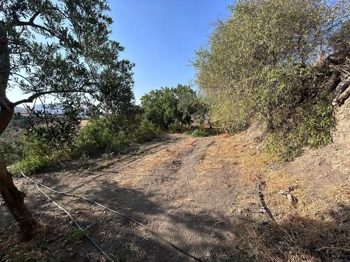 Casa o xalet en venda en Álora amb Calefacció, Terrassa i Traster