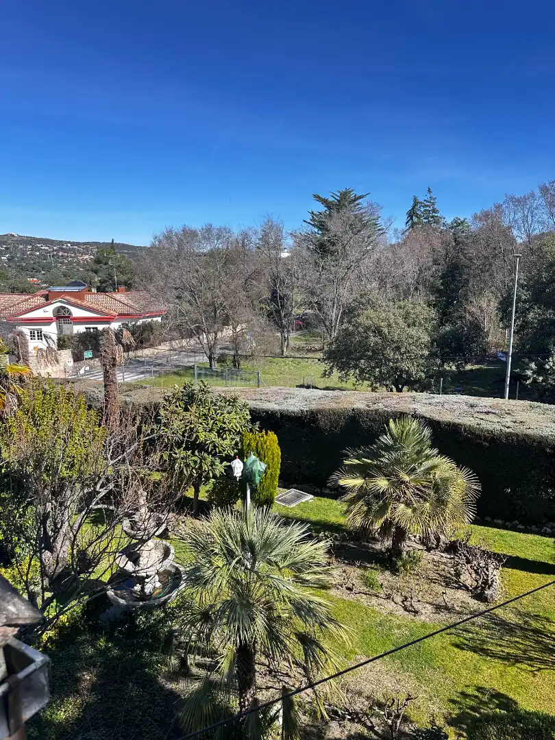 Jardín de Casa o chalet en venta en Las Rozas de Madrid con Aire acondicionado, Calefacción y Jardín privado