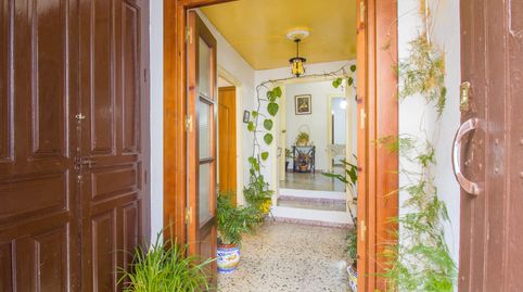 Foto 4 de Finca rústica en venta en Calle Martínez Chaparro, 6, Galaroza, Huelva