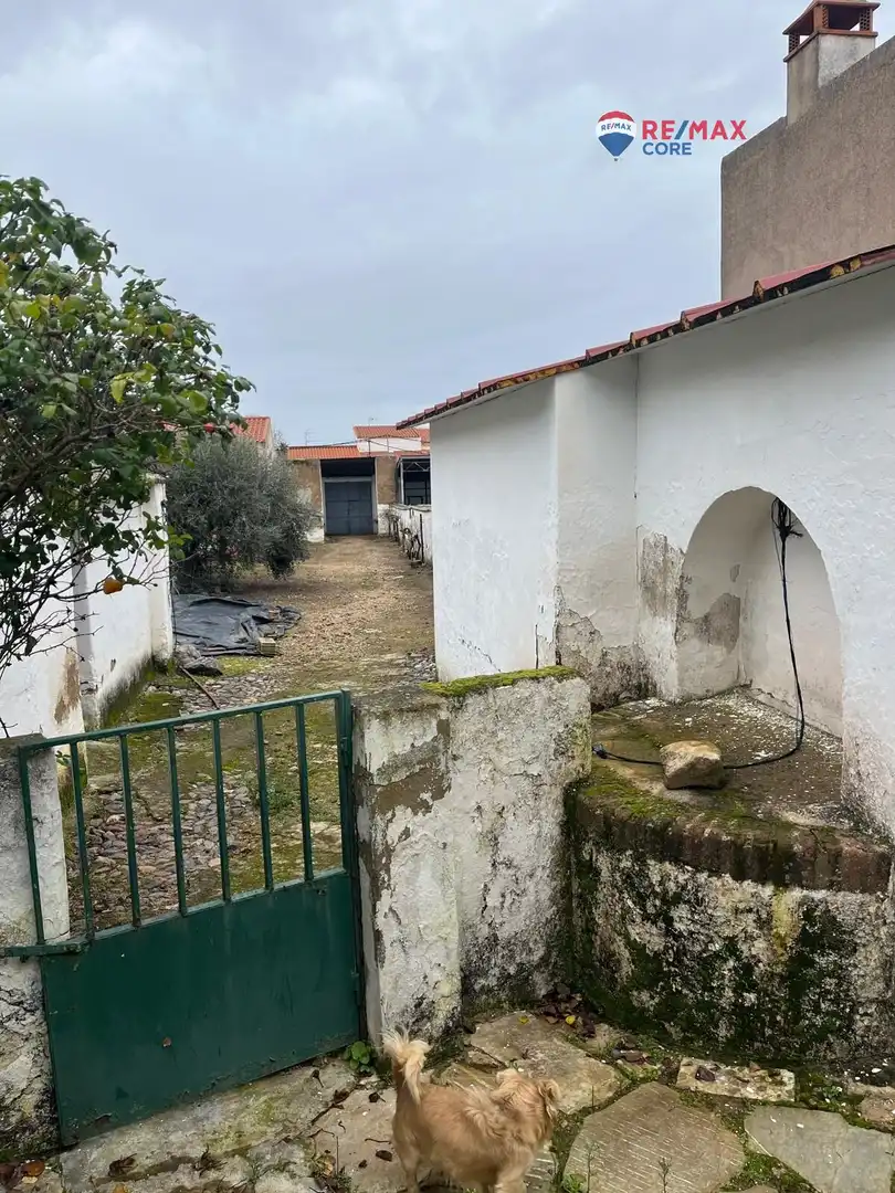 Vista exterior de Casa o chalet en venta en La Albuera con Jardín privado