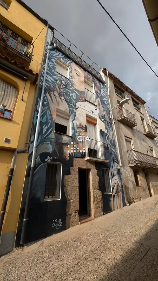 Adosado con terraza en venta en Plaça del Mercadal 17B, imagen 19