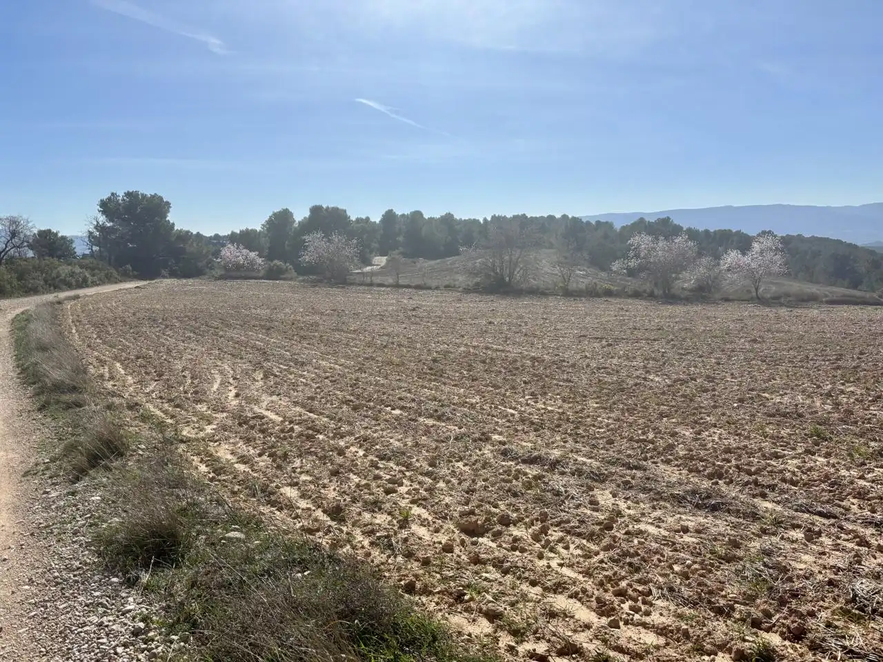 Terreno en venta en Blancafort
