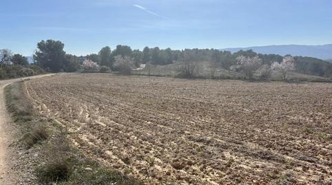 Foto 2 de Terreny en venda a Poligono 1, Blancafort, Tarragona