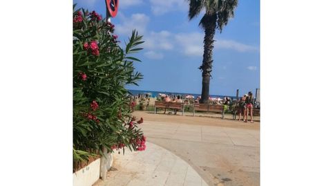 Foto 3 de Casa o xalet en venda a Malgrat de Mar, Barcelona