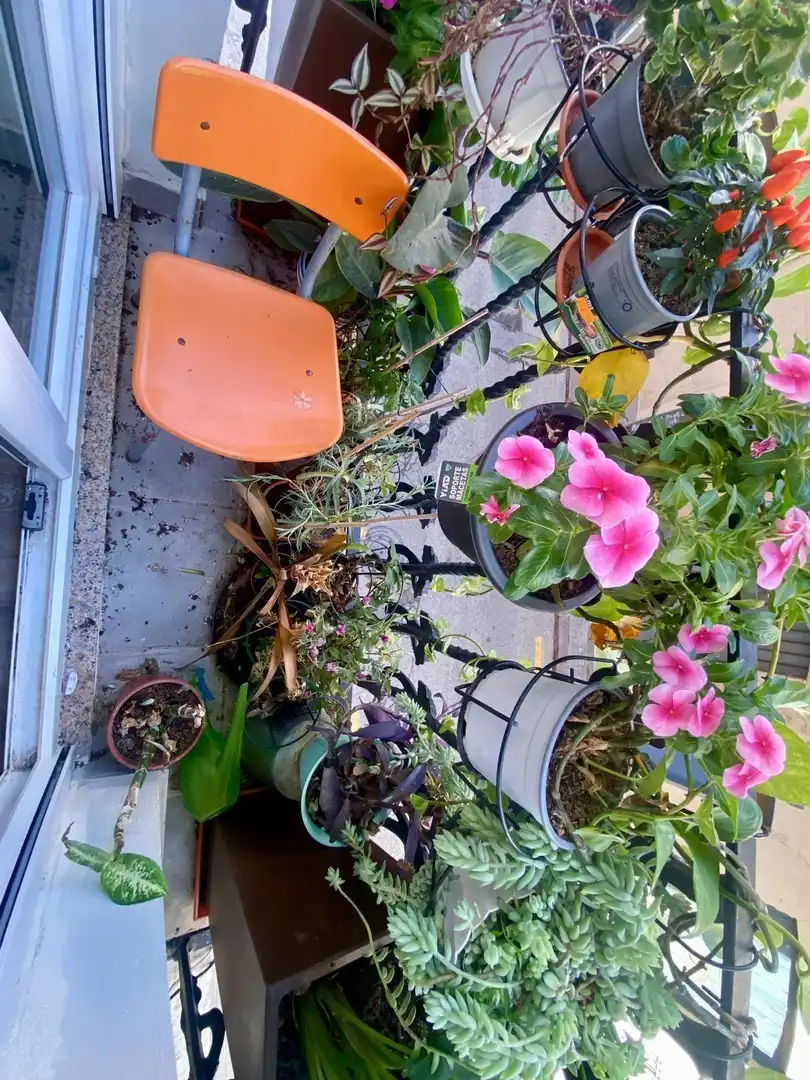 Terrassa de Pis en venda en Valencia amb Aire condicionat, Moblat i Balcó