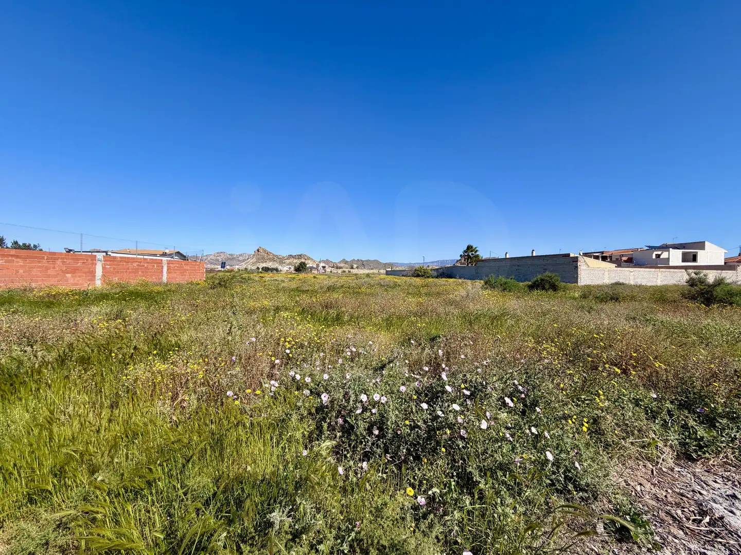 Residential land for sale in Archena, imagen 2