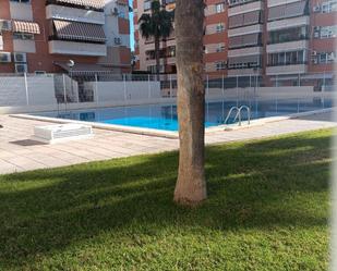 Swimming pool of Flat for sale in San Vicente del Raspeig / Sant Vicent del Raspeig  with Air Conditioner, Terrace and Community pool