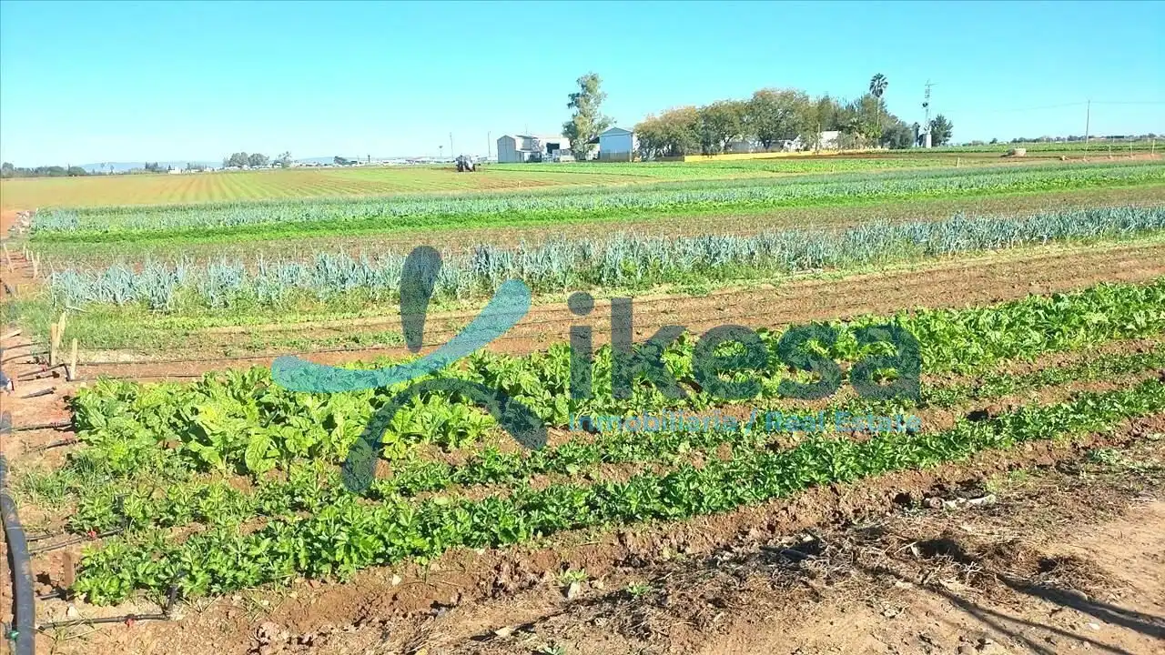 Terrenys i solars en venda a Norte, imagen 3