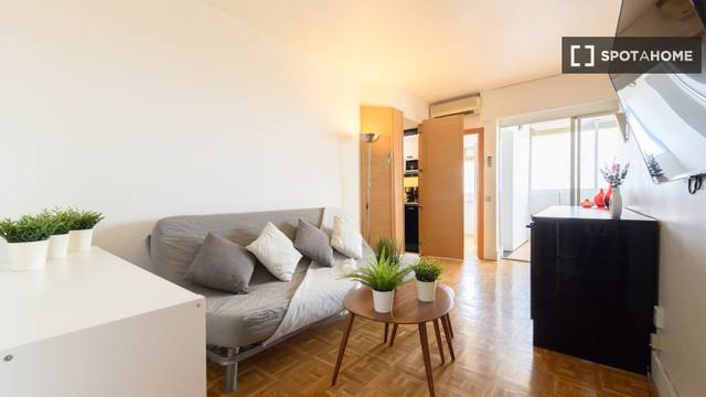 Piso en Alquiler en Cuatro Caminos - Azca