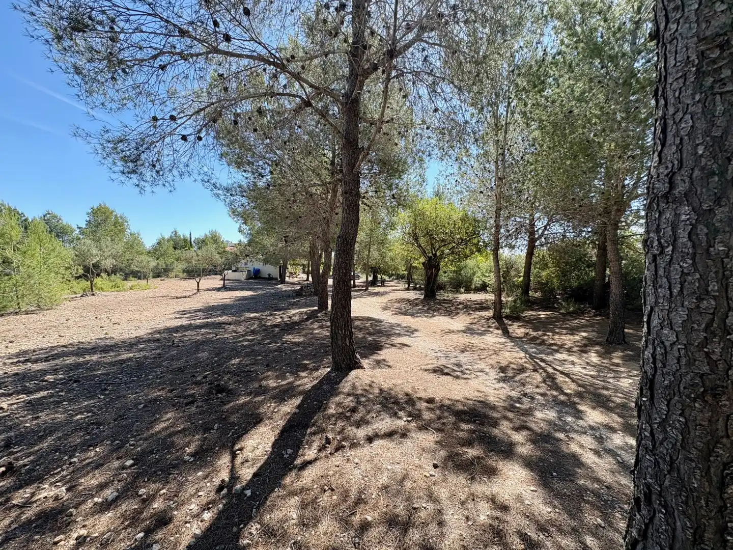 Casa o xalet en venda en Cheste amb Aire condicionat, Calefacció i Jardí privat