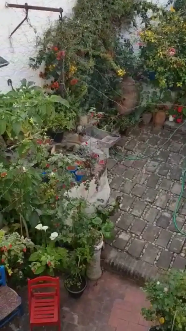 Jardí de Casa o xalet en venda en Benamocarra amb Terrassa i Moblat