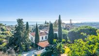 Jardí de Casa o xalet en venda en Estepona amb Piscina