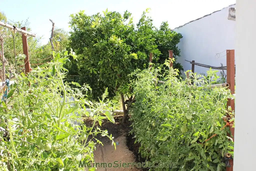 Casa o chalet en venta en de Cádiz, Algodonales