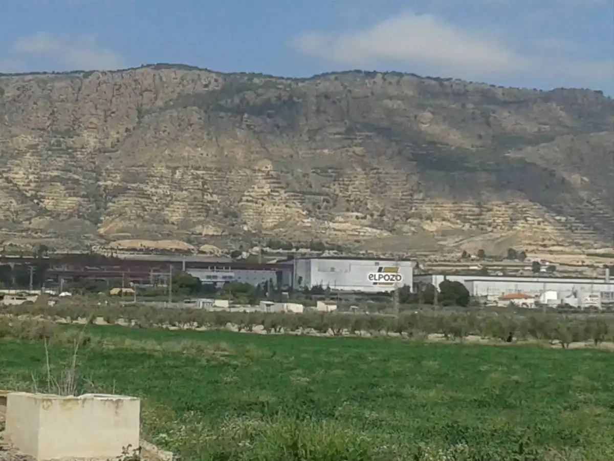 Terreni e lotti in vendita a Alhama de Murcia ciudad, imagen 13