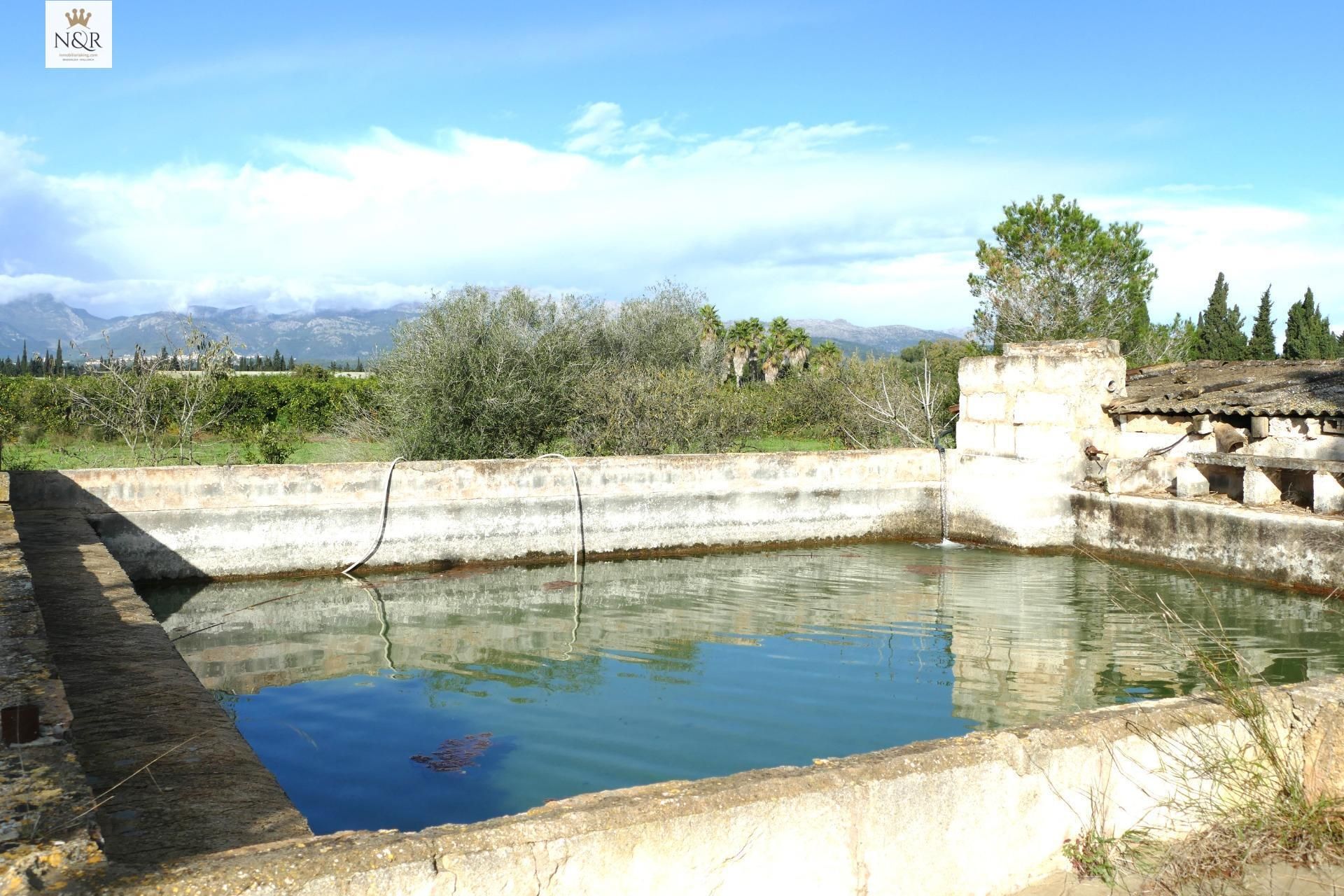Piscina de Finca rústica en venda en Llubí