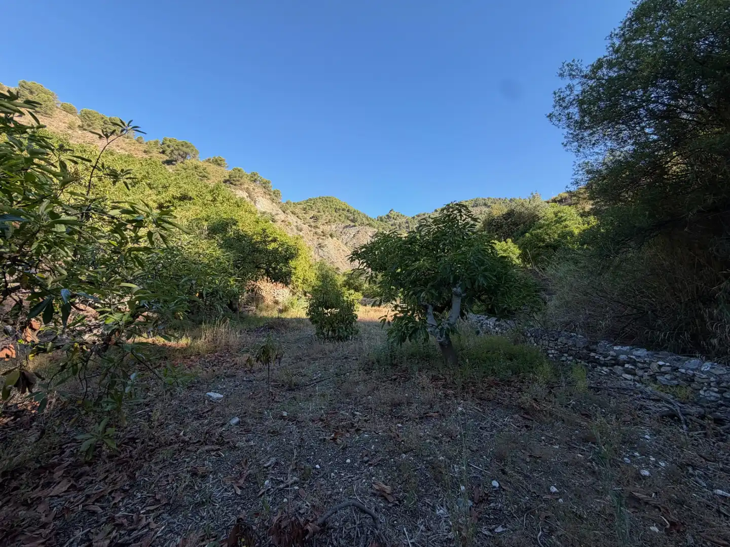 Finca rústica en venta en Yunquera con Jardín privado, Piscina y Amueblado