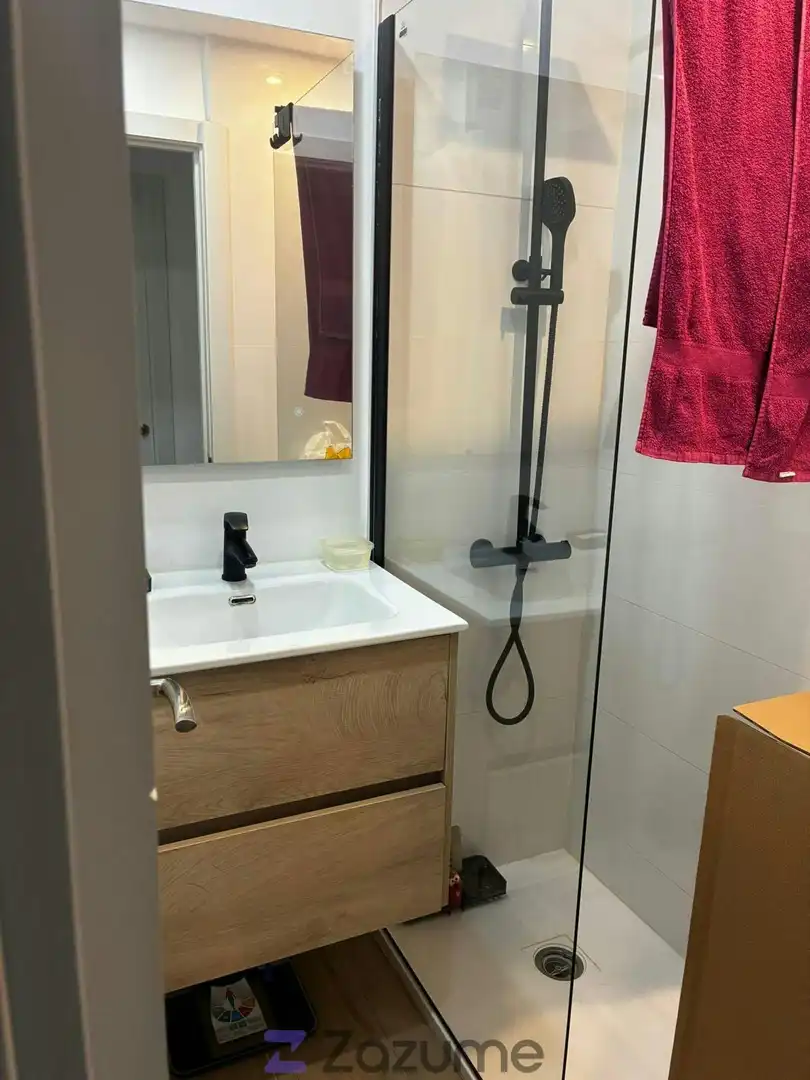 Bathroom of Flat for rent in Las Palmas de Gran Canaria  with Furnished, Oven and Washing machine