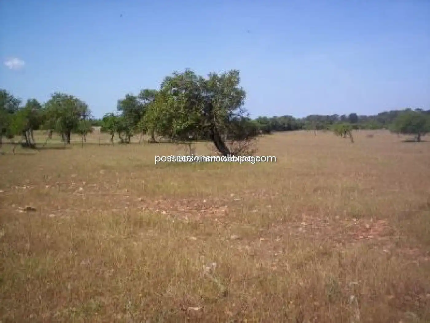 Terreno rustico in vendita a Algaida, imagen 13
