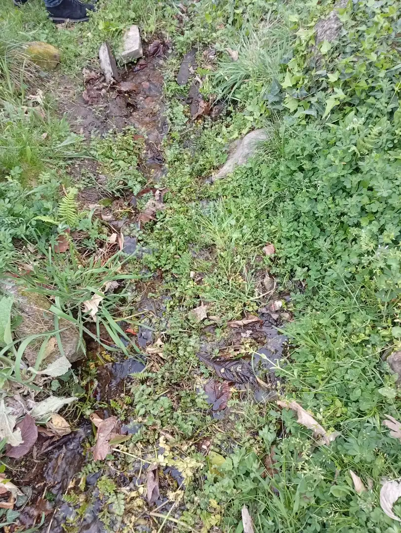 Terreni e lotti in vendita a Valverde de la Vera, imagen 91