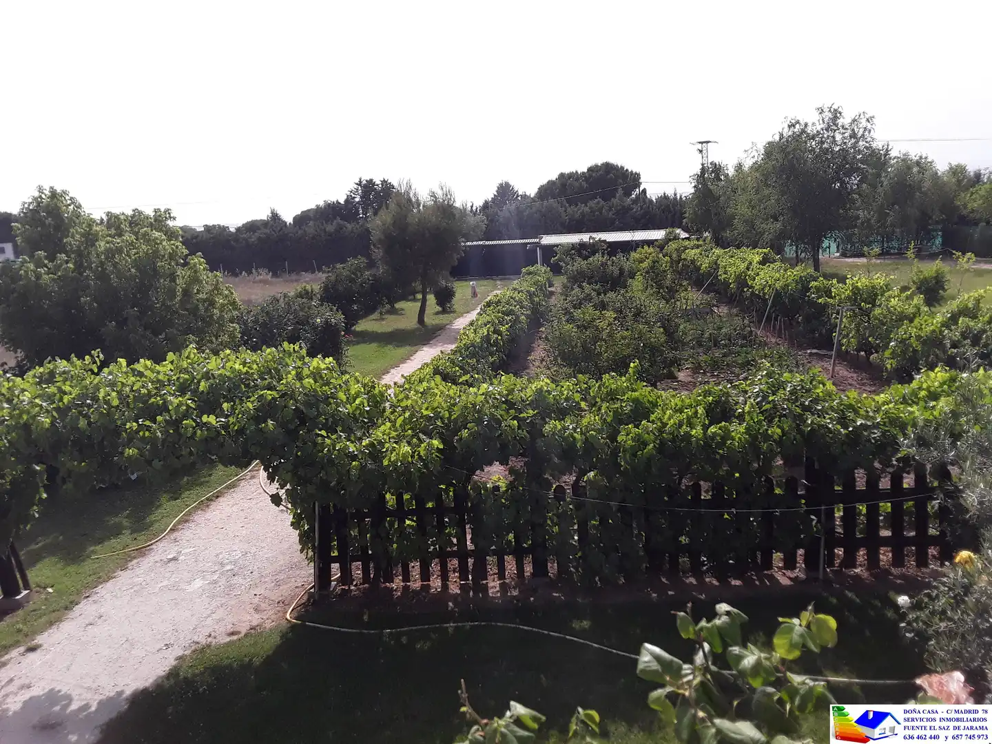 Jardín de Casa o chalet en venta en Fuente El Saz de Jarama con Aire acondicionado, Calefacción y Jardín privado