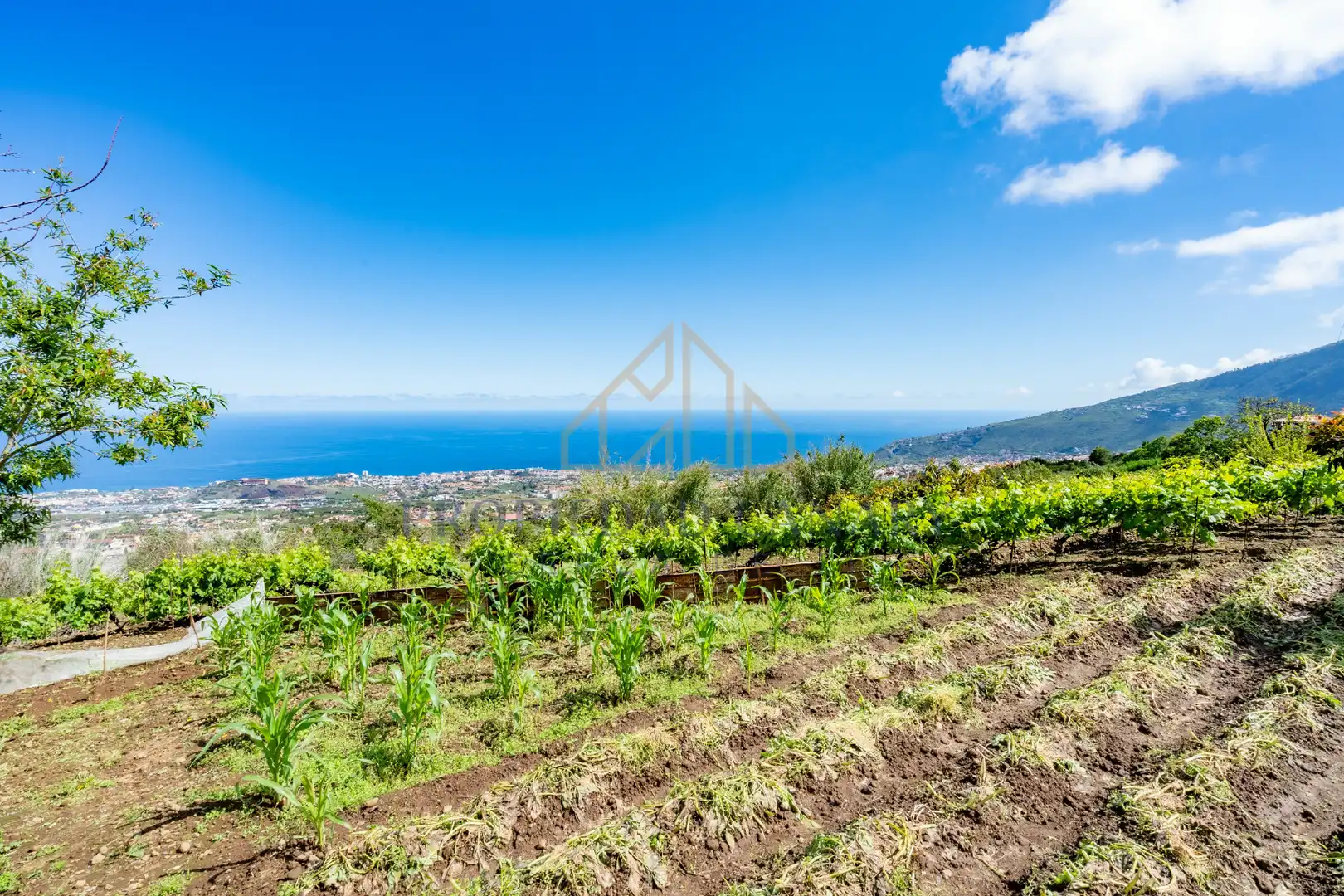 Casa rústica con jardín en venta en La Perdoma - San Antonio - Benijos, imagen 26