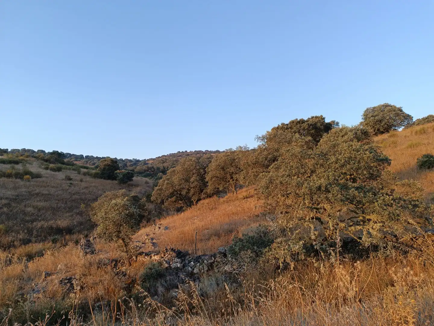 Residencial en venda a Alía