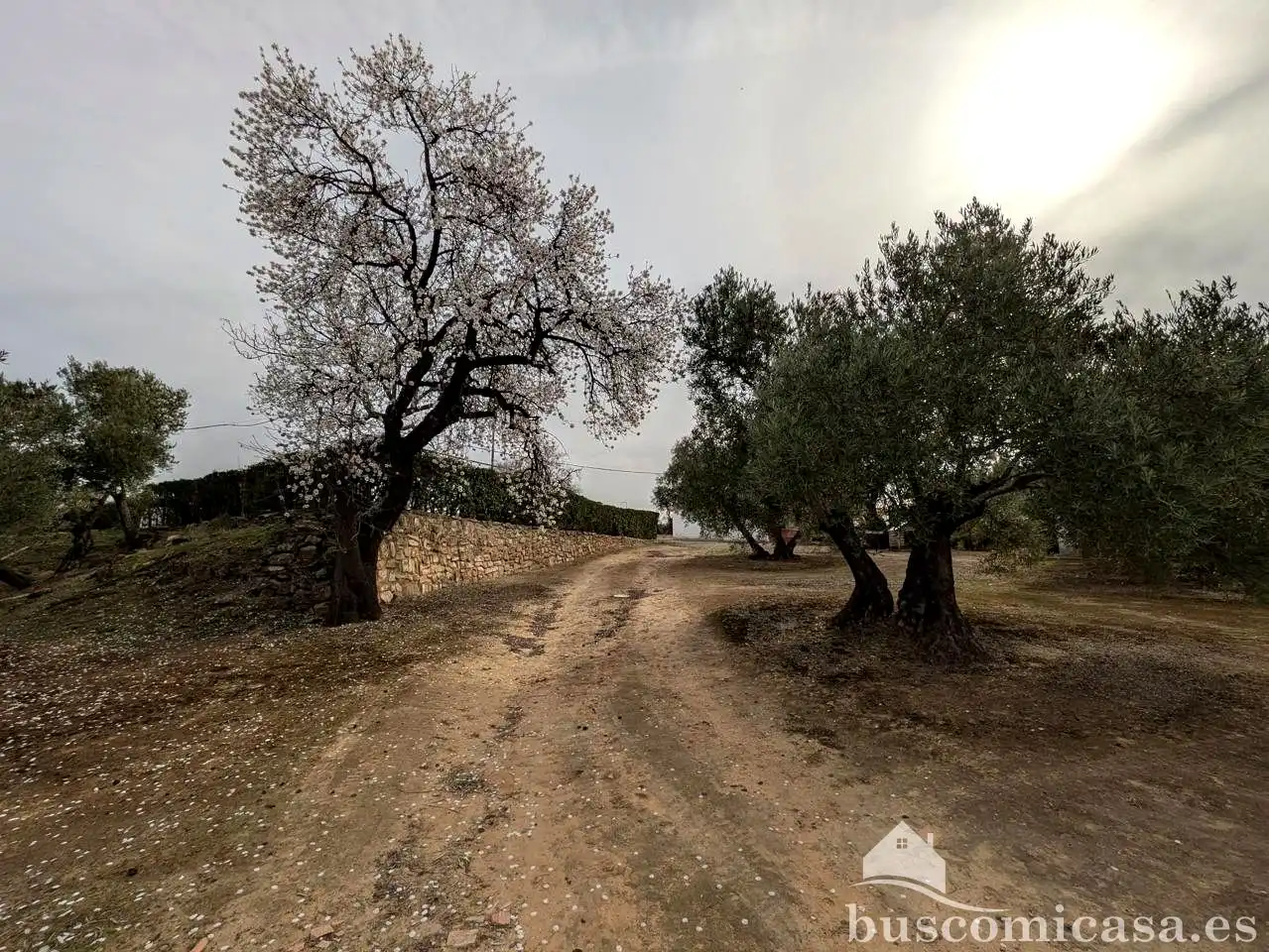 Finca rústica en venda en Baeza amb Jardí privat, Terrassa i Traster