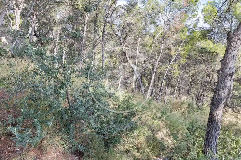 Terreno residenziale in vendita a El Bosque, imagen 12