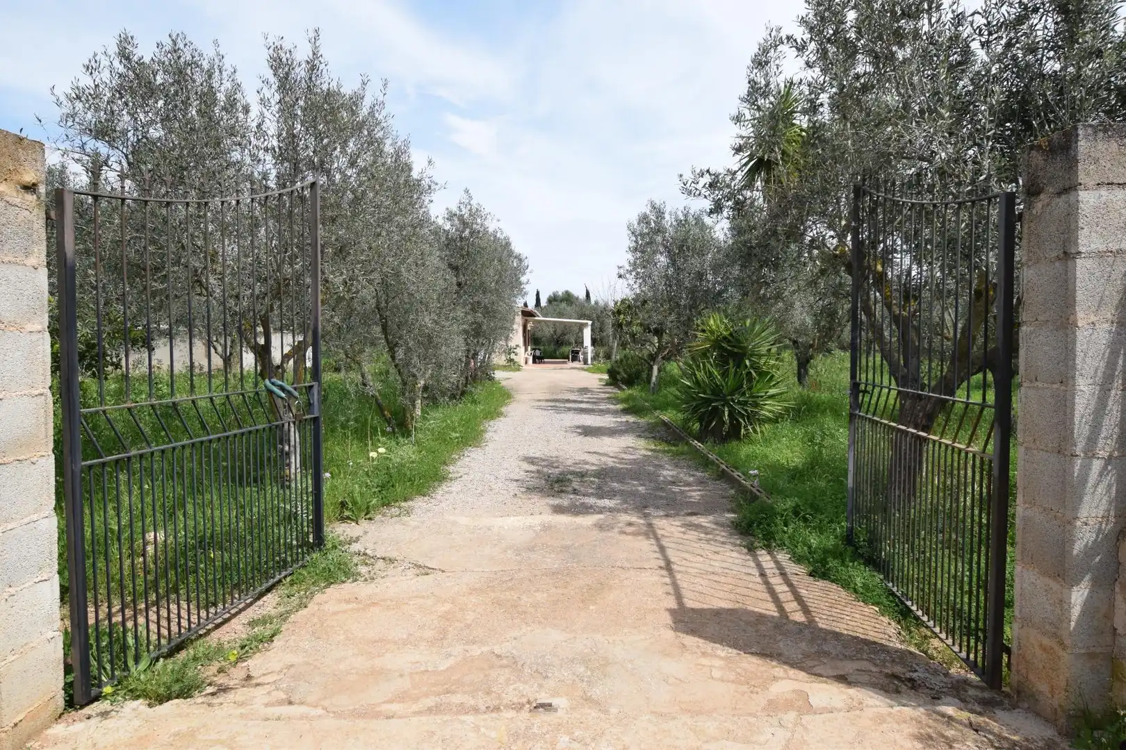 Jardín de Finca rústica en venta en Santa Eugènia con Jardín privado