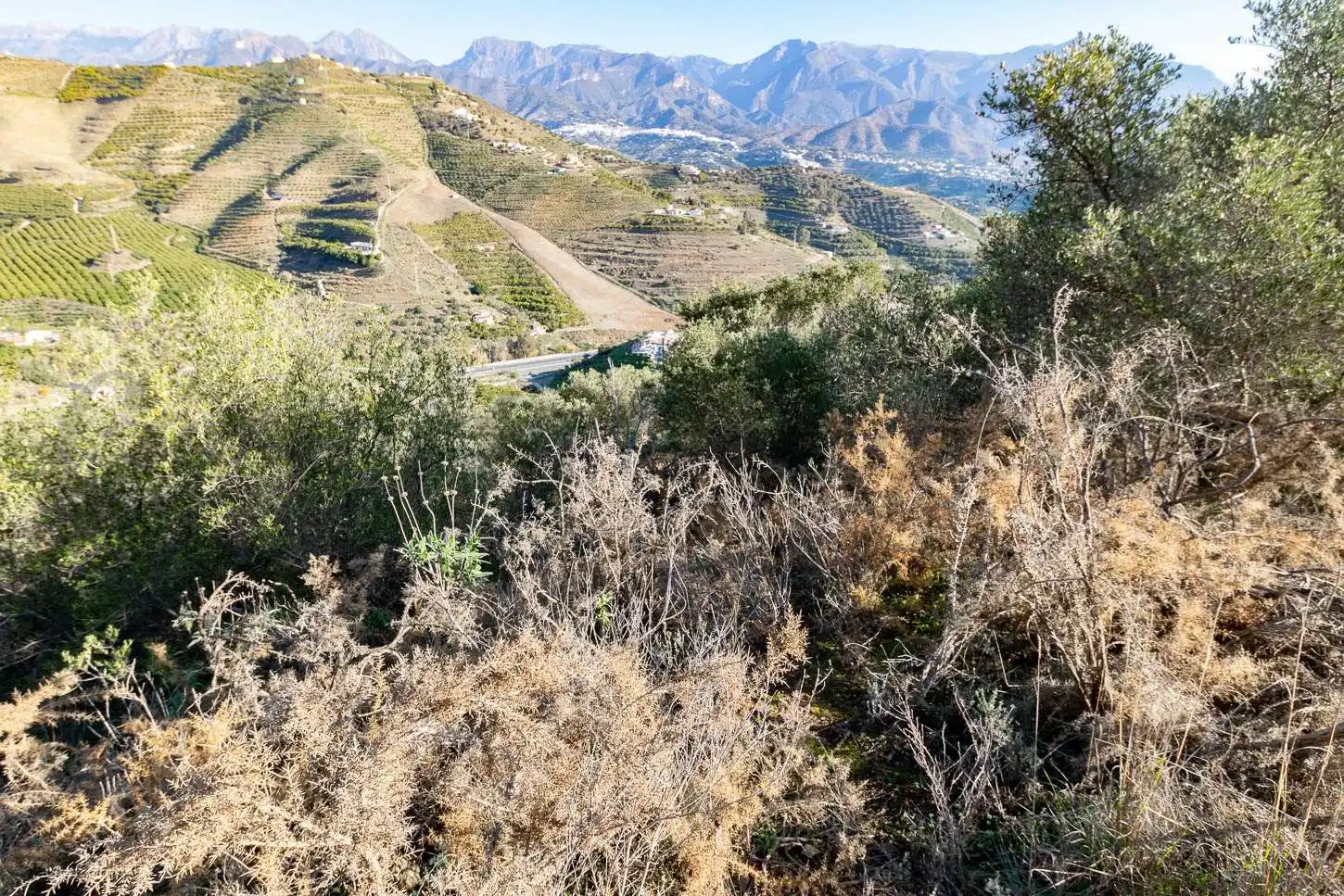 Terreno rústico en venta en Avda Pescia - Ctra de Frigiliana