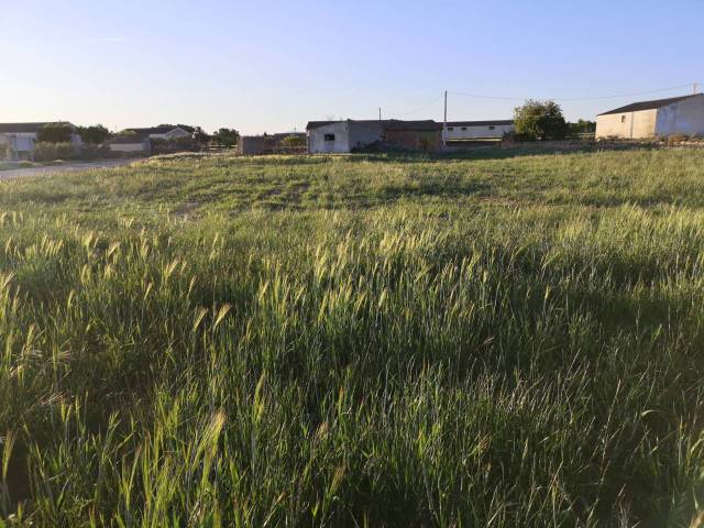 Terreno residencial en Venta en CARRETERA SELGUA  en Laluenga