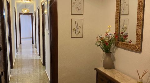 Foto 2 de Pis de lloguer a Carrer de Patricio Ferrándiz, 5, Centro Urbano, Dénia