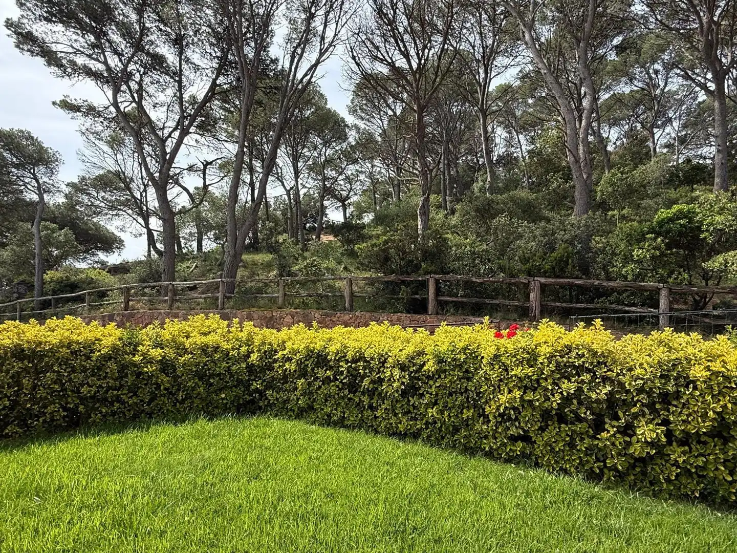 Garten von Einfamilien-Reihenhaus zur Miete in Palafrugell mit Heizung, Privatgarten und Terrasse