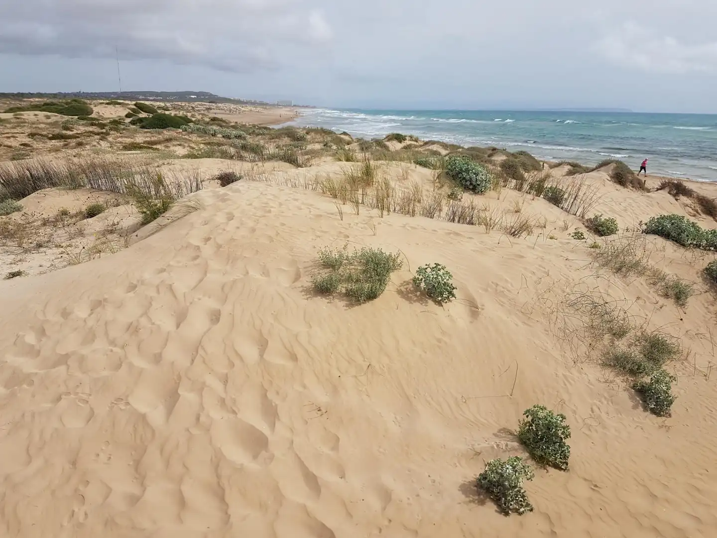 Casa o chalet en venta en Torrevieja con Jardín privado, Amueblado y Piscina comunitaria