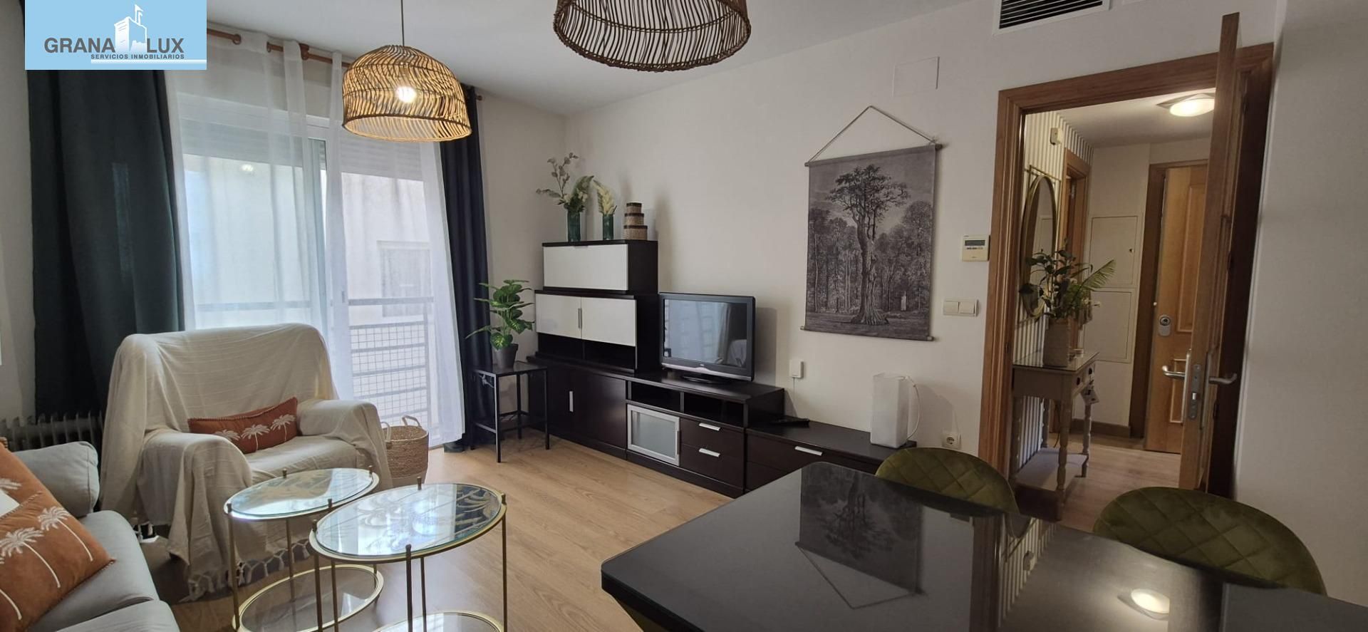 Sala d'estar de Pis de lloguer en  Granada Capital amb Aire condicionat i Calefacció