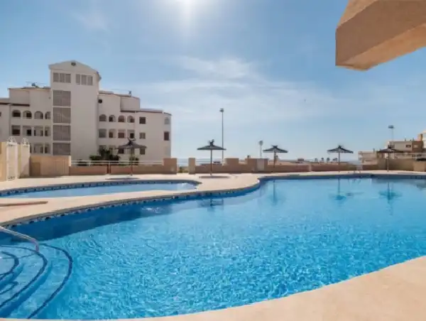 Swimming pool of Flat for sale in Elche / Elx  with Private garden, Swimming Pool and Community pool