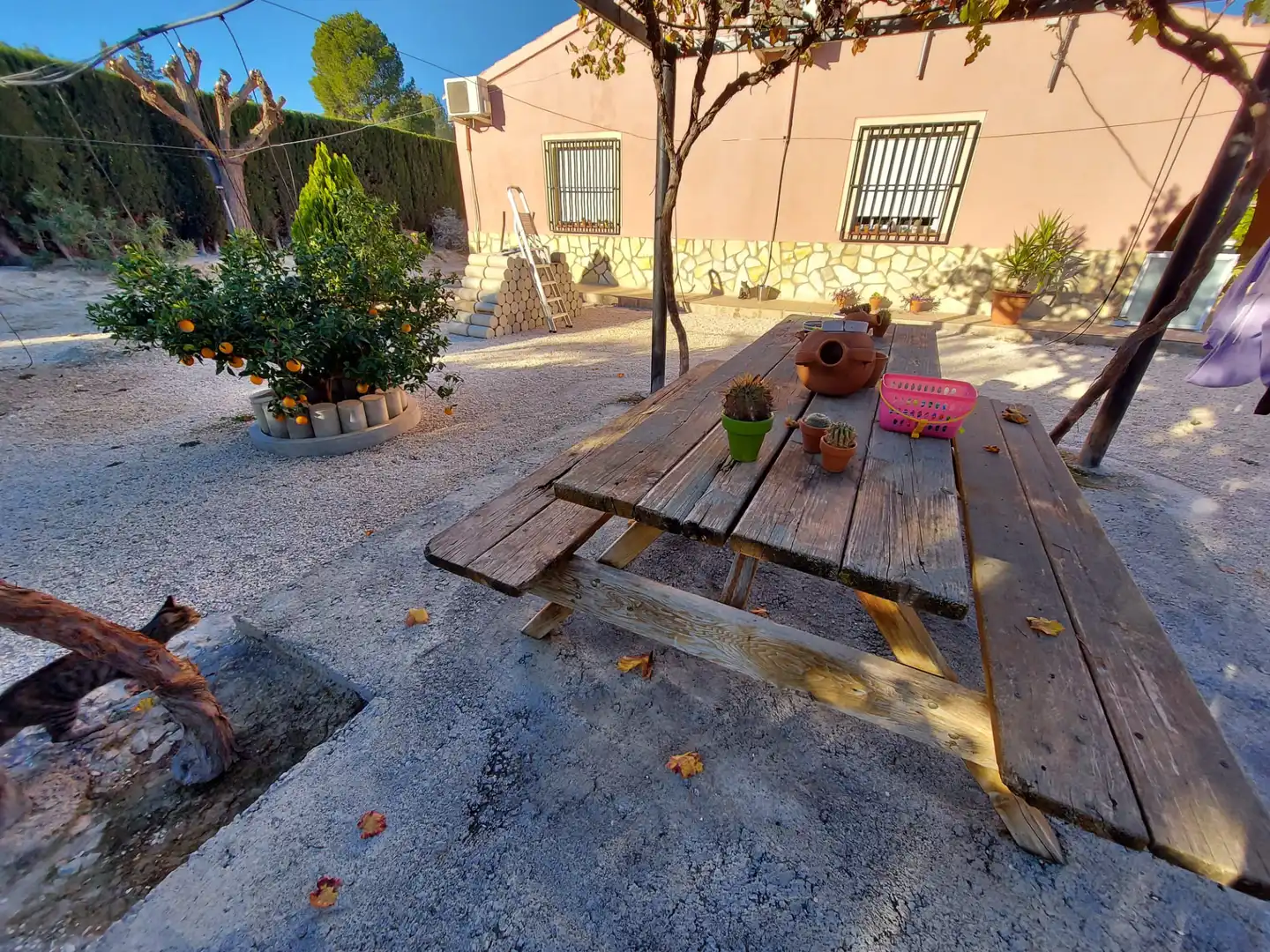Terraza de Finca rústica en venta en Calasparra con Jardín privado y Piscina