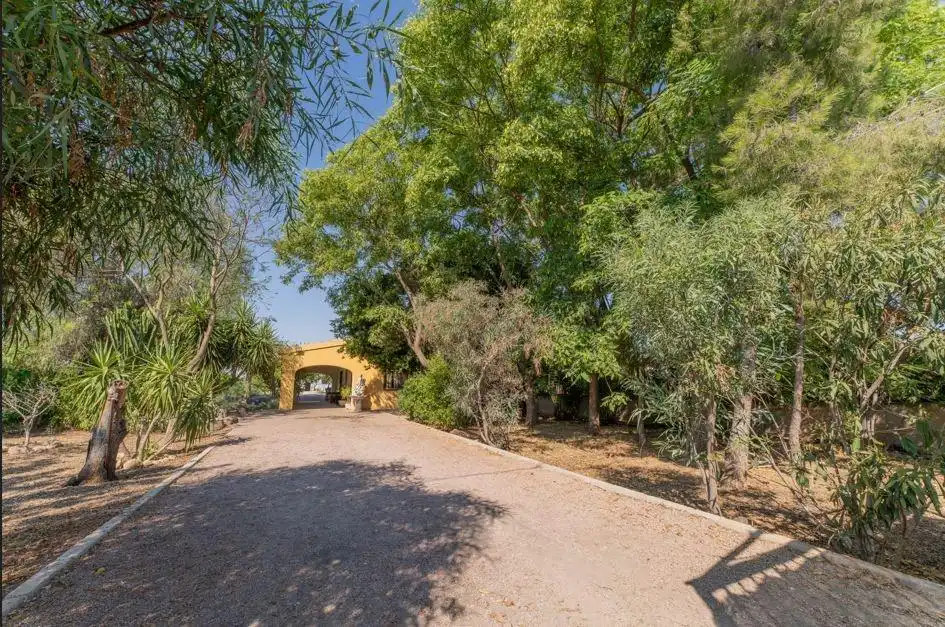 Vista exterior de Casa o chalet en venta en Orihuela con Piscina comunitaria