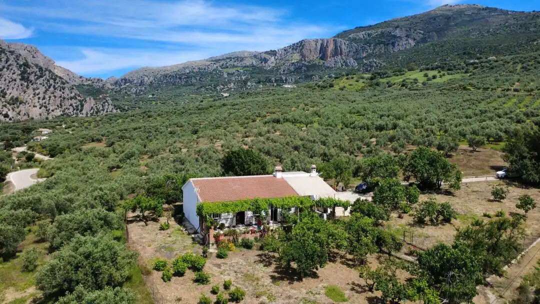 Vista exterior de Casa o chalet en venta en Alfarnatejo