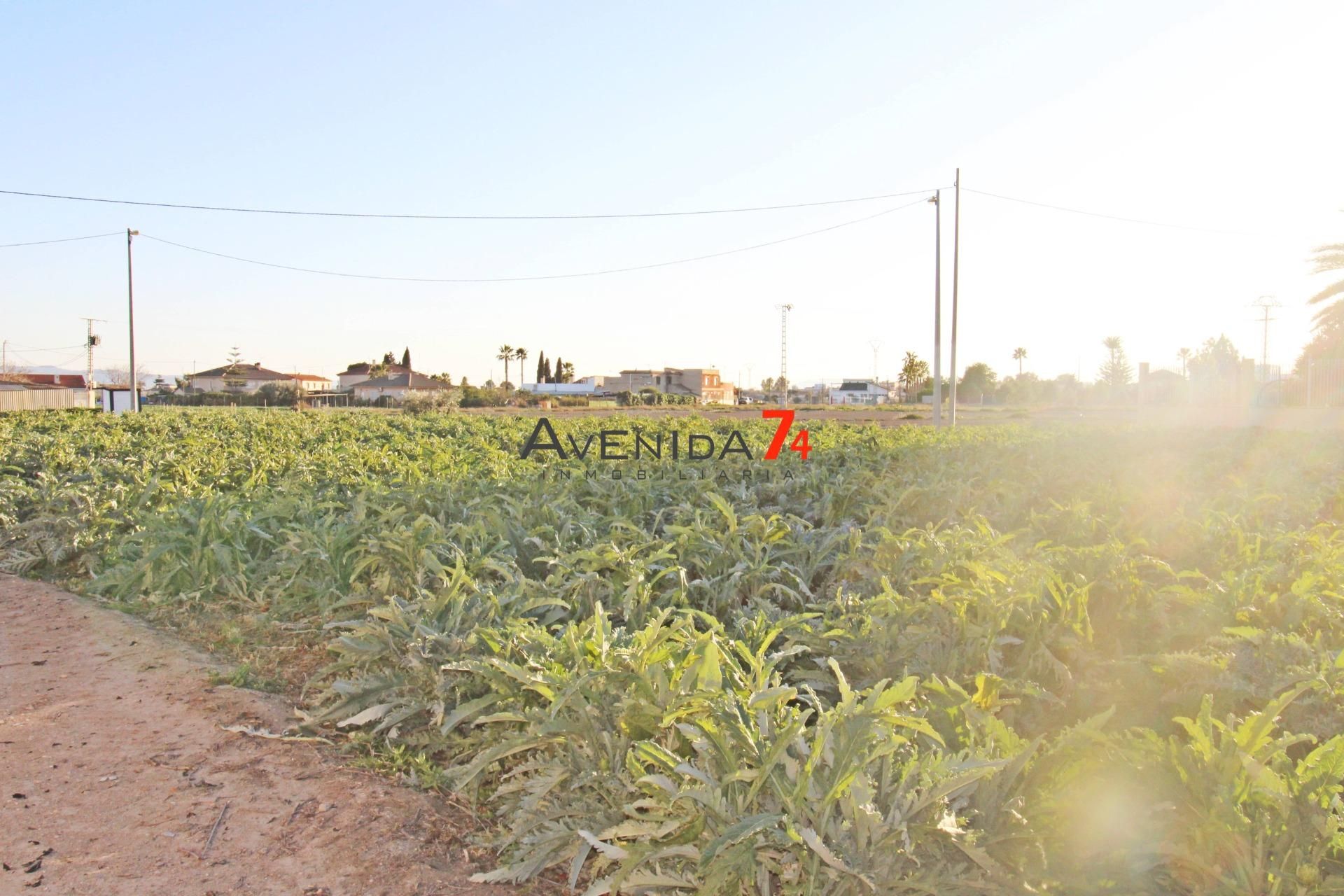 Casa o xalet en venda en Lorca amb Jardí privat i Terrassa