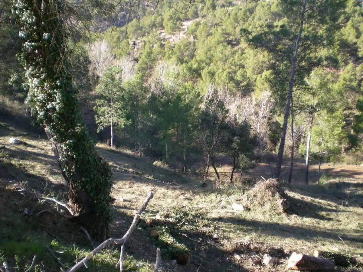 Terrenys i solars en venda a Castellnou de Bages, imagen 10